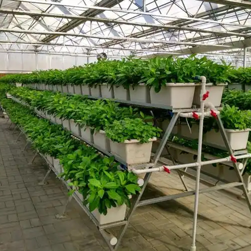 呼和浩特市植物工厂温室大棚 - 推荐