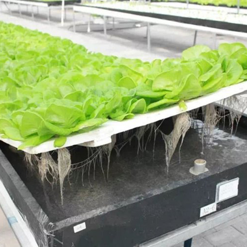 呼和浩特市水培设备温室大棚 - 价格